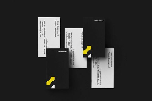 平面设计视角下的Thermorum家用电子产品品牌形象构建与互联网技术融合